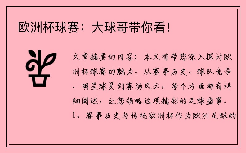 欧洲杯球赛：大球哥带你看！